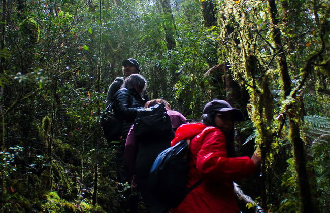 Senderos del Bosque Ecological Reserve Tour - Photo 1