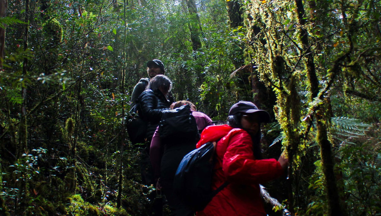 Tour por la reserva ecológica Senderos del Bosque