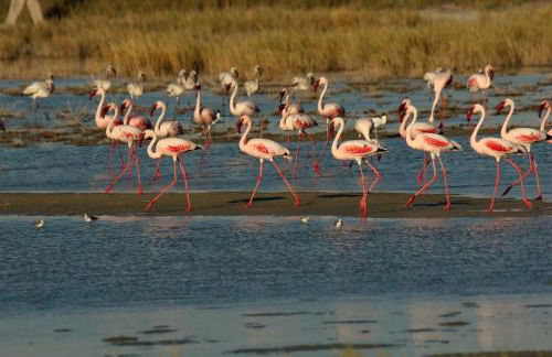 La Poétique - Air-conditioned house with 3 bedrooms! - Foto 26