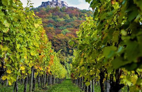 Ferienwohnung Hogh, 55qm, Terrasse - Foto 23