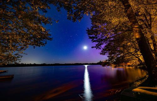 Forest & Lake Mikołajki - Foto 66