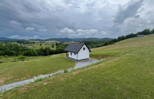 Biesiedlisko Bieszczadzkie - Foto 1