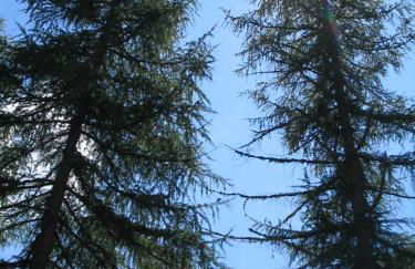 Apartment El Cor - Photo 59