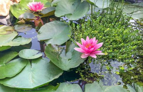 Stunning Home In Ficarra - Foto 22