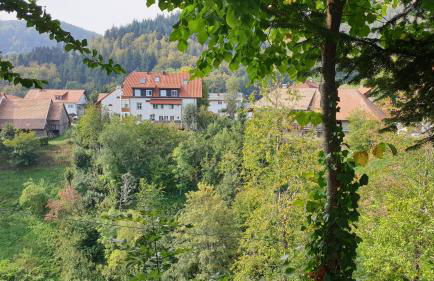 Ferienwohnung auf dem Bückle - Foto 8