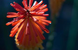 Quinta do Mirante - Foto 67