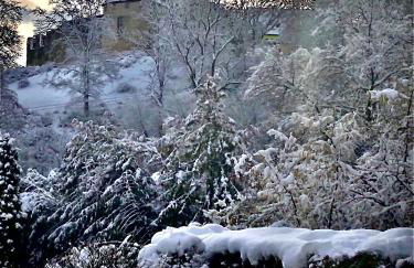 Apartment mit Burgblick im Grünen, Familie Held - Foto 25