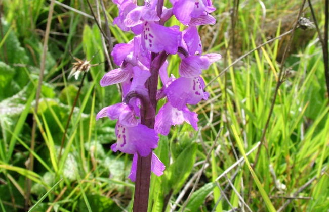 Casa Do Forno - Quinta Amoreira - Photo 40