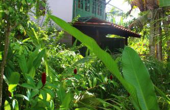 Jardim UIXA - Foto 52