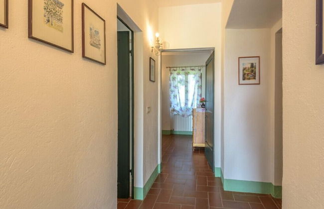 Verdidea - Podere del Mezzadro - Foto 42