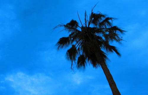 Multi Resorts at Puente Vista - Foto 38