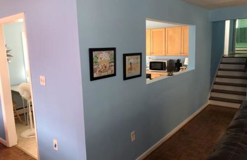 Beach Front on the Bay in our Rustic, Pet Friendly Cottage home - Photo 20