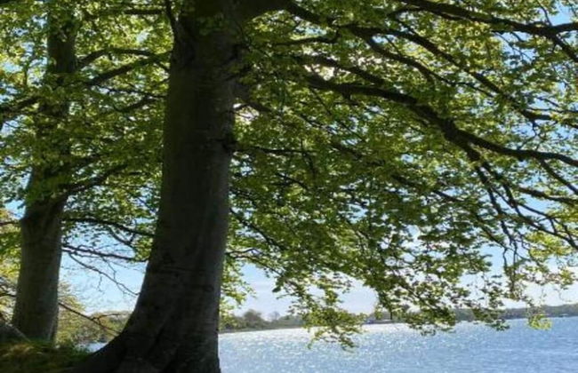 6 Person Holiday Home in Skibby - Foto 26