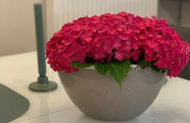 Ruhrperle Apartment 3 Essen - Foto 18