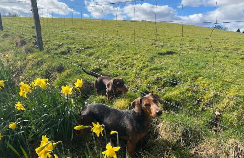The Bothy, Callander - Foto 28