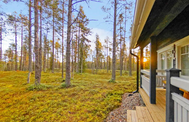 Kevätpiippo b - Foto 16