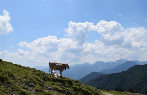 Chiemsee Chalet - Foto 118