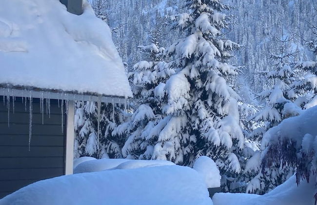 Ayder Guven Dag Evi - Photo 48