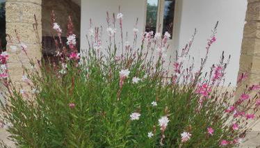 Trullo Contrada Specchi - Foto 3