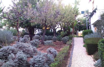 le Boucanier - Foto 30