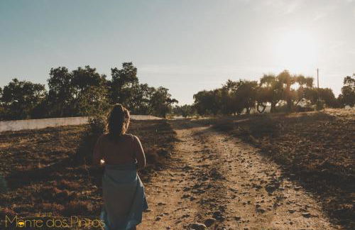 Monte dos Pintos - Foto 46