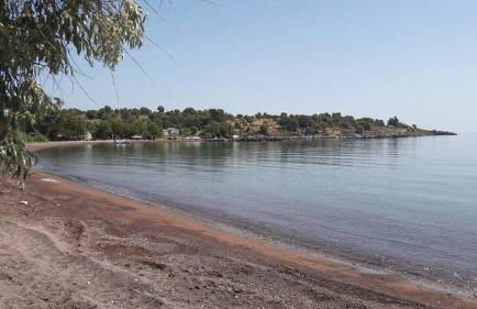 Armonia Houses - Photo 44