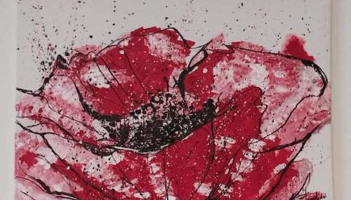 Studio Les coquelicots - Foto 5