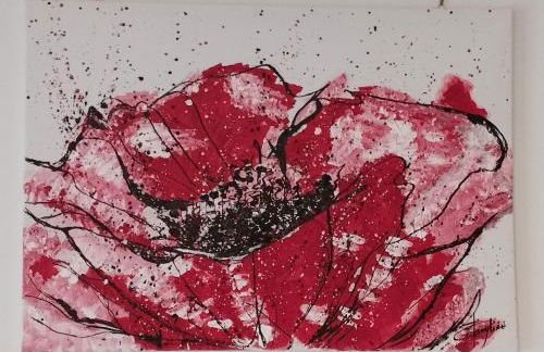 Studio Les coquelicots - Foto 13