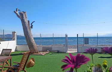 Παραθαλάσσιο Σπίτι θαλάσσια Αυρα - Foto 24