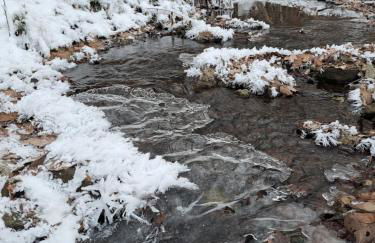 Ferienhaus Rehblick - direkt in der Natur, mit Lesezimmer und zwei Terrassen - Foto 50