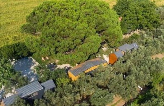 Tiny Garden Dikili - Foto 3