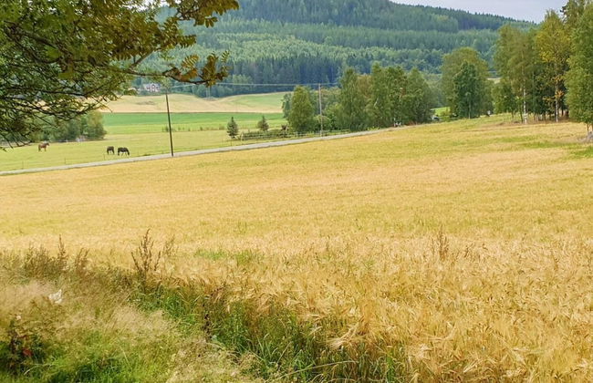 4 Person Holiday Home in Jarvso-by Traum - Photo 35