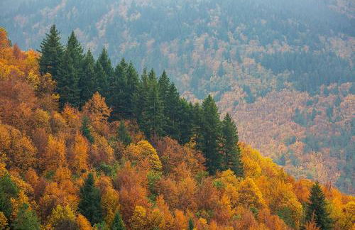 SerraVale - House & Nature - Foto 52