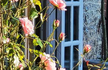 Escape the Ordinary - Photo 5