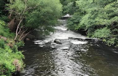 Puente del Narcea 3 - Foto 10