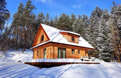 Między Brzozami - Foto 44