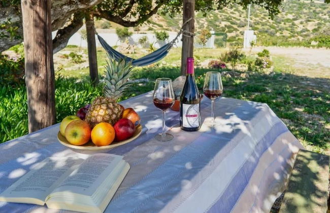 Villa George Sea View With Pool - Triopetra - Photo 40