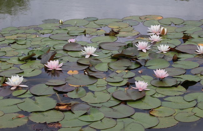 Ottenskamp4 en Het Achterhuis - Photo 61