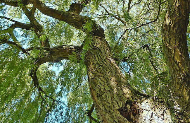 Holiday Home Near Alabaster Coast Beaches - Foto 23