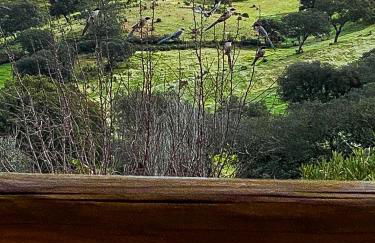 Vale da Lama - Foto 8