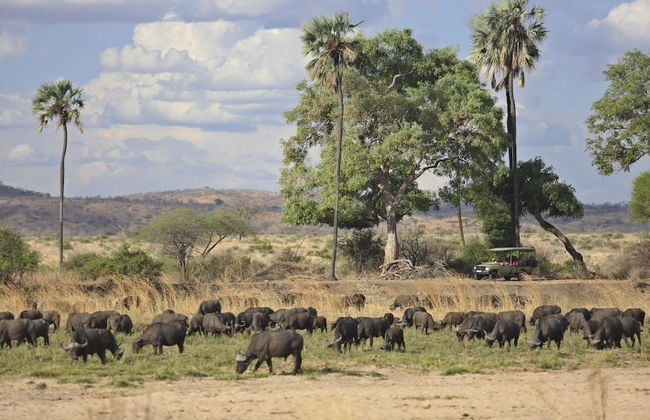 Ruaha Dream Villa - Foto 29