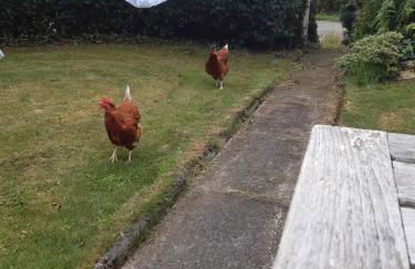 Springbank Cabin - Foto 10