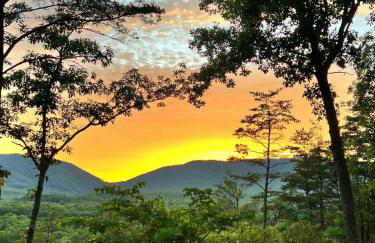 Shenandoah Retreat - Family Home - Foto 56