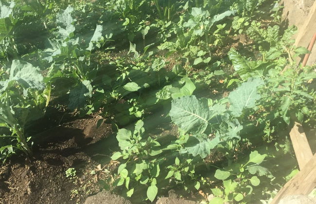 Reens Vacation Rentals - Foto 22