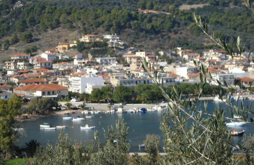 Athina EcoFarm - Foto 20