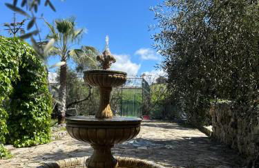 La Algazara - Foto 9