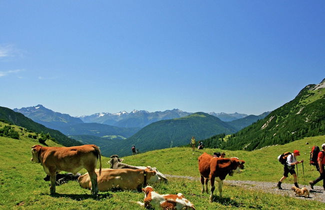 Cozy Apartment in Obsteig near Ski Area - Foto 33