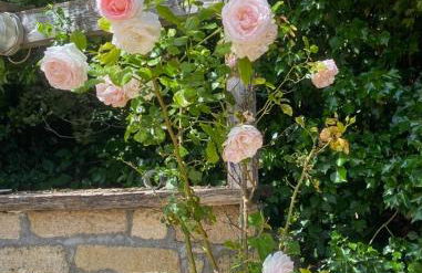 Historic Wine Estate Near Mediterranean Coast - Foto 18