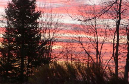 LA GRANGE DE HAUTE-JOUX - Foto 13