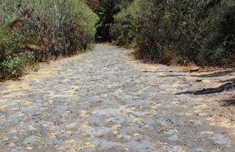 HolidaynorthTenerife Exotic Apartament - Foto 37